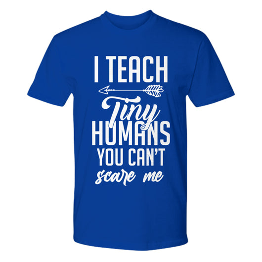 teacher shirt gift