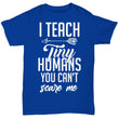 teacher shirt for school