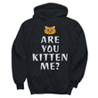 Are You Kitten Me Cat Lover Hoodie Sale, Shirts and Tops - Daily Offers And Steals