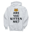 Are You Kitten Me Cat Lover Hoodie Sale, Shirts and Tops - Daily Offers And Steals
