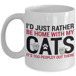 cat mug buy