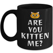 Are You Kitten Me Cat Lover Mug Sale, mugs - Daily Offers And Steals