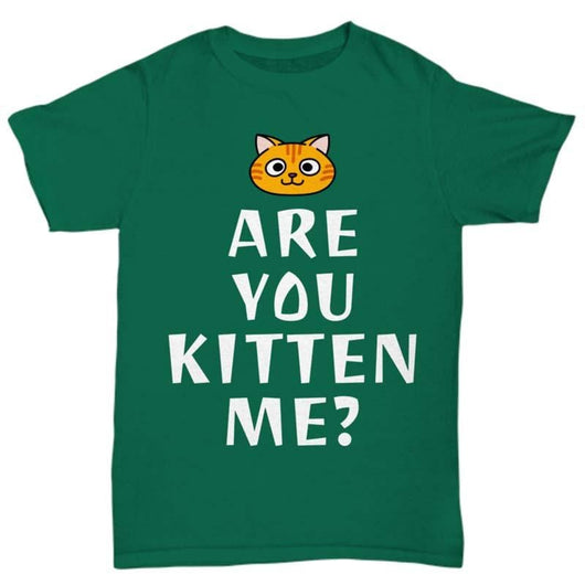 Are You Kitten Me Cat Shirt Online, Shirts and Tops - Daily Offers And Steals