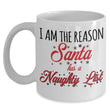 Reason Santa Has A Naughty List Holiday Mug, Drinkware - Daily Offers And Steals